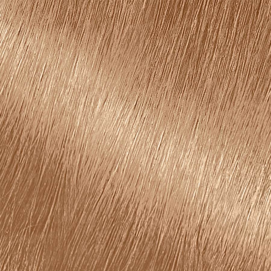 Garnier Nutrisse Nourishing Color Creme 82 - Champagne Blonde (Champagne Fizz) Permanent Hair Color